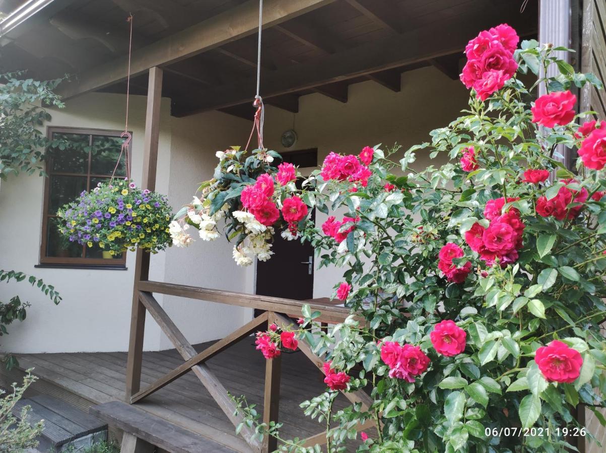 ריגה Boutigue City House With Terrace And Garden Free Parking מראה חיצוני תמונה