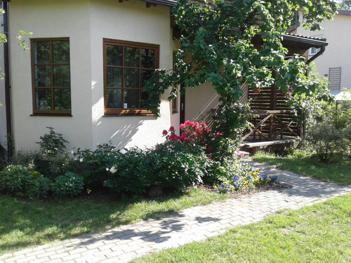 ריגה Boutigue City House With Terrace And Garden Free Parking מראה חיצוני תמונה