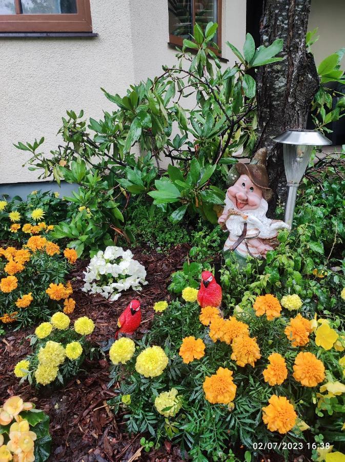 ריגה Boutigue City House With Terrace And Garden Free Parking מראה חיצוני תמונה