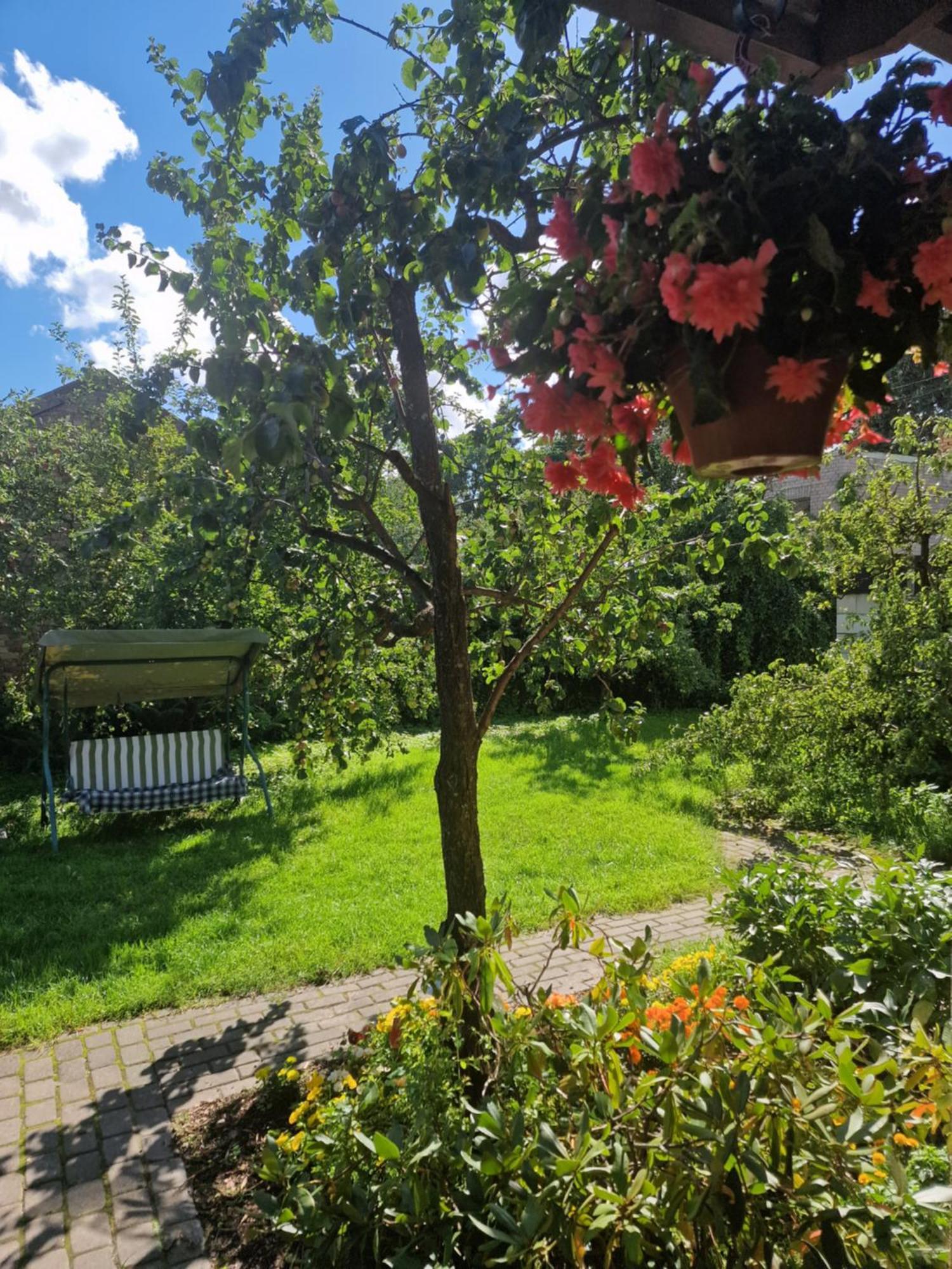 ריגה Boutigue City House With Terrace And Garden Free Parking מראה חיצוני תמונה